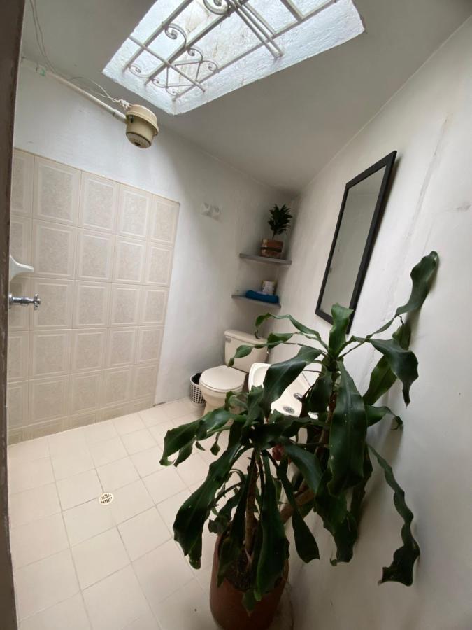 Hostal Casa Las Tias Medellín Exteriör bild