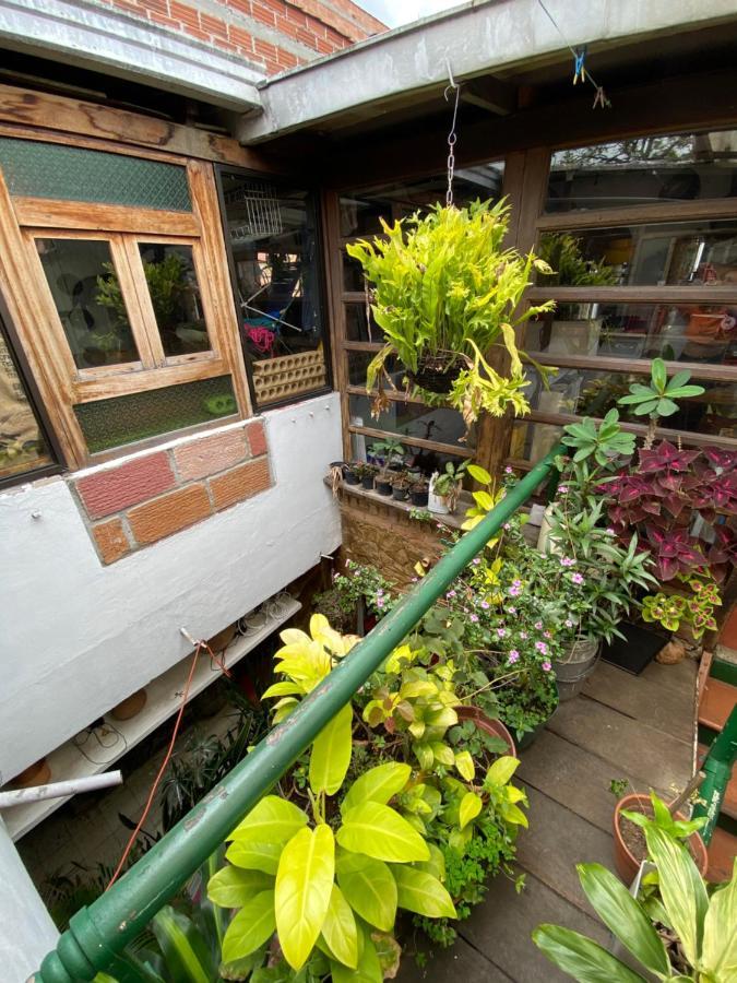 Hostal Casa Las Tias Medellín Exteriör bild